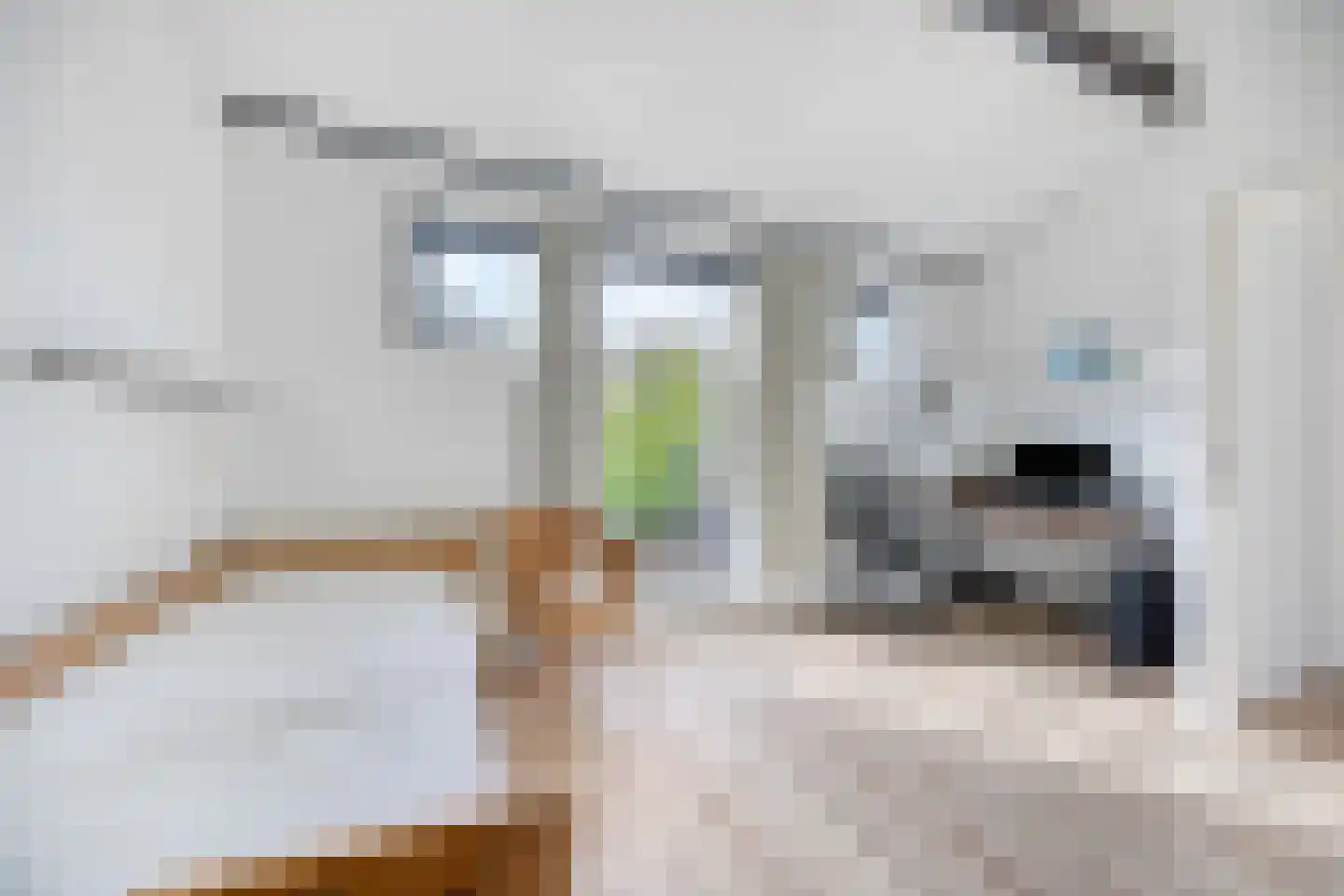 Hof van Saffier 4 Delft thumbnail 30