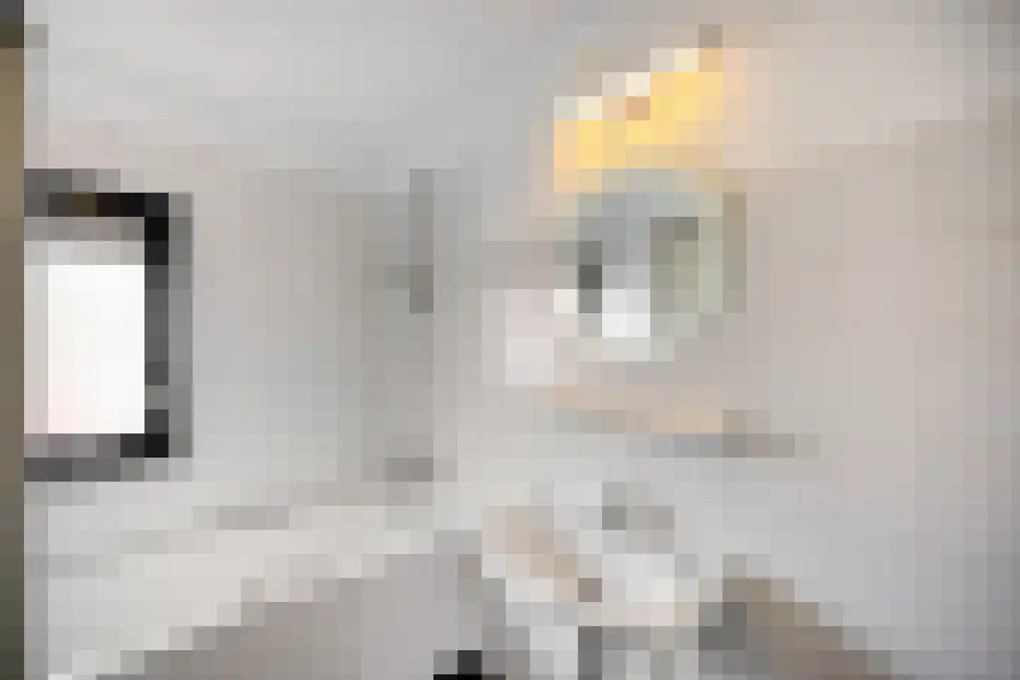 Hof van Saffier 4 Delft thumbnail 34