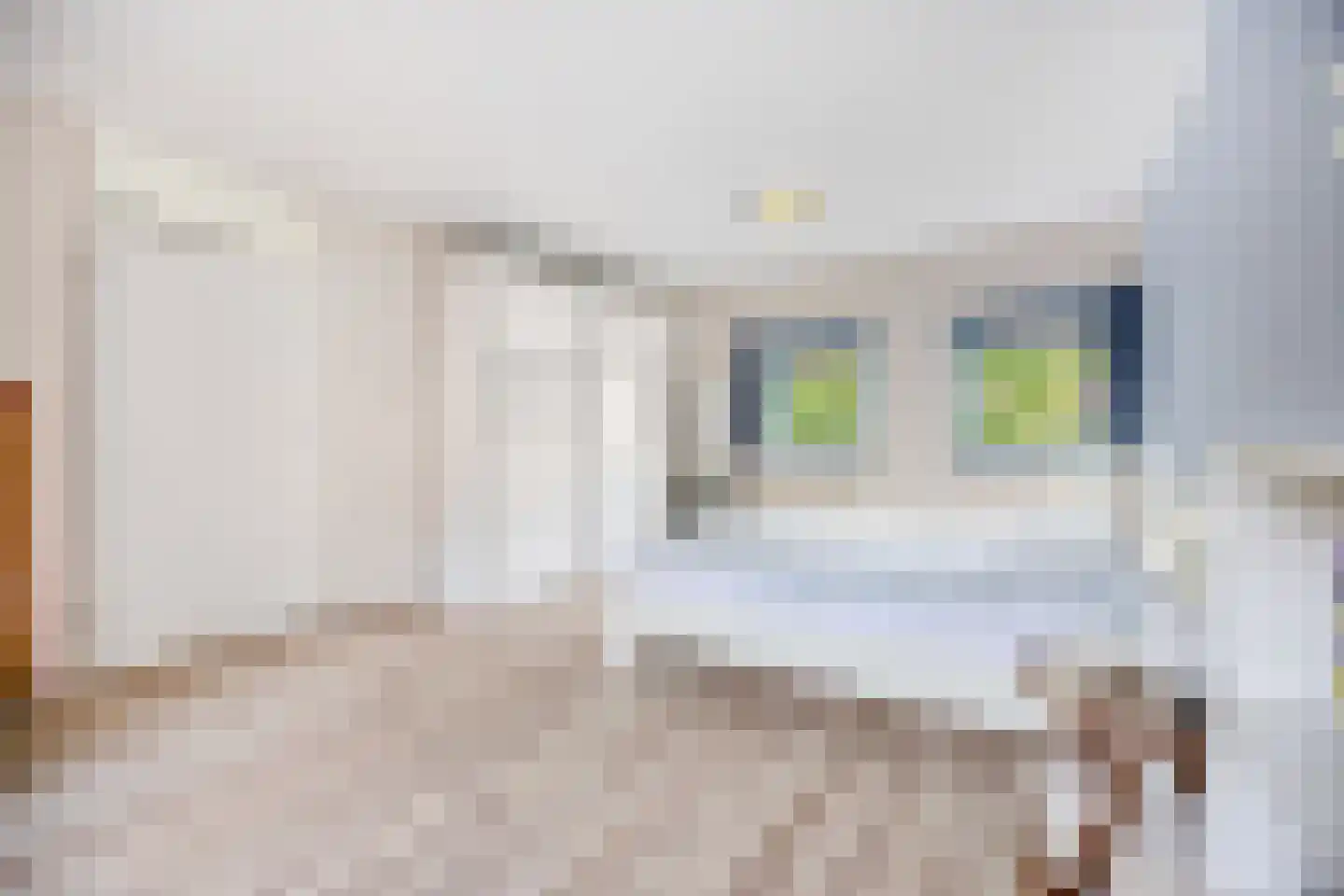 Hof van Saffier 4 Delft thumbnail 37