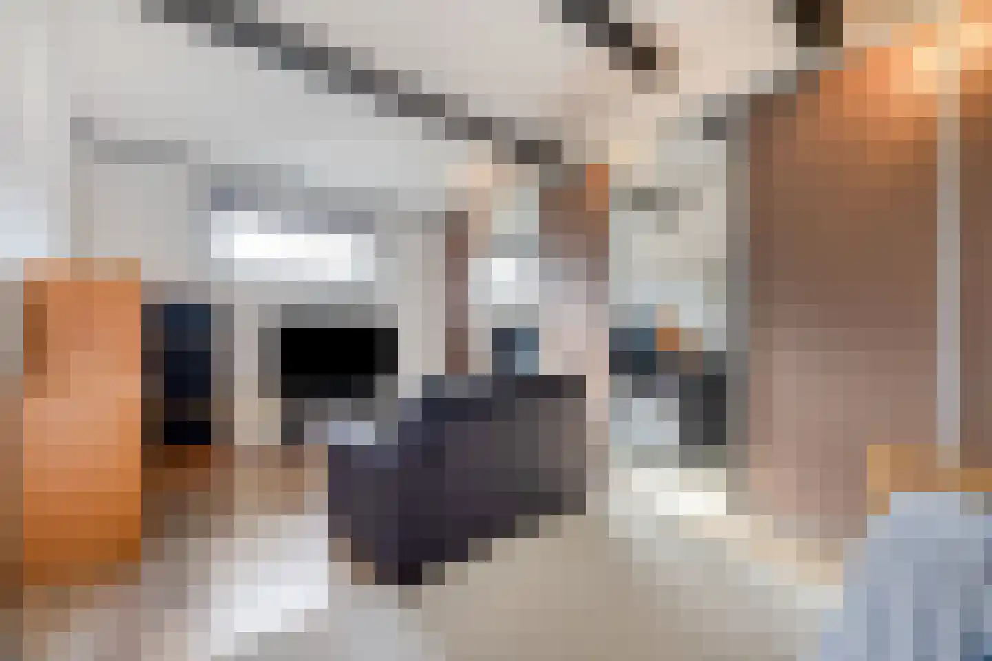 Hof van Saffier 4 Delft thumbnail 39