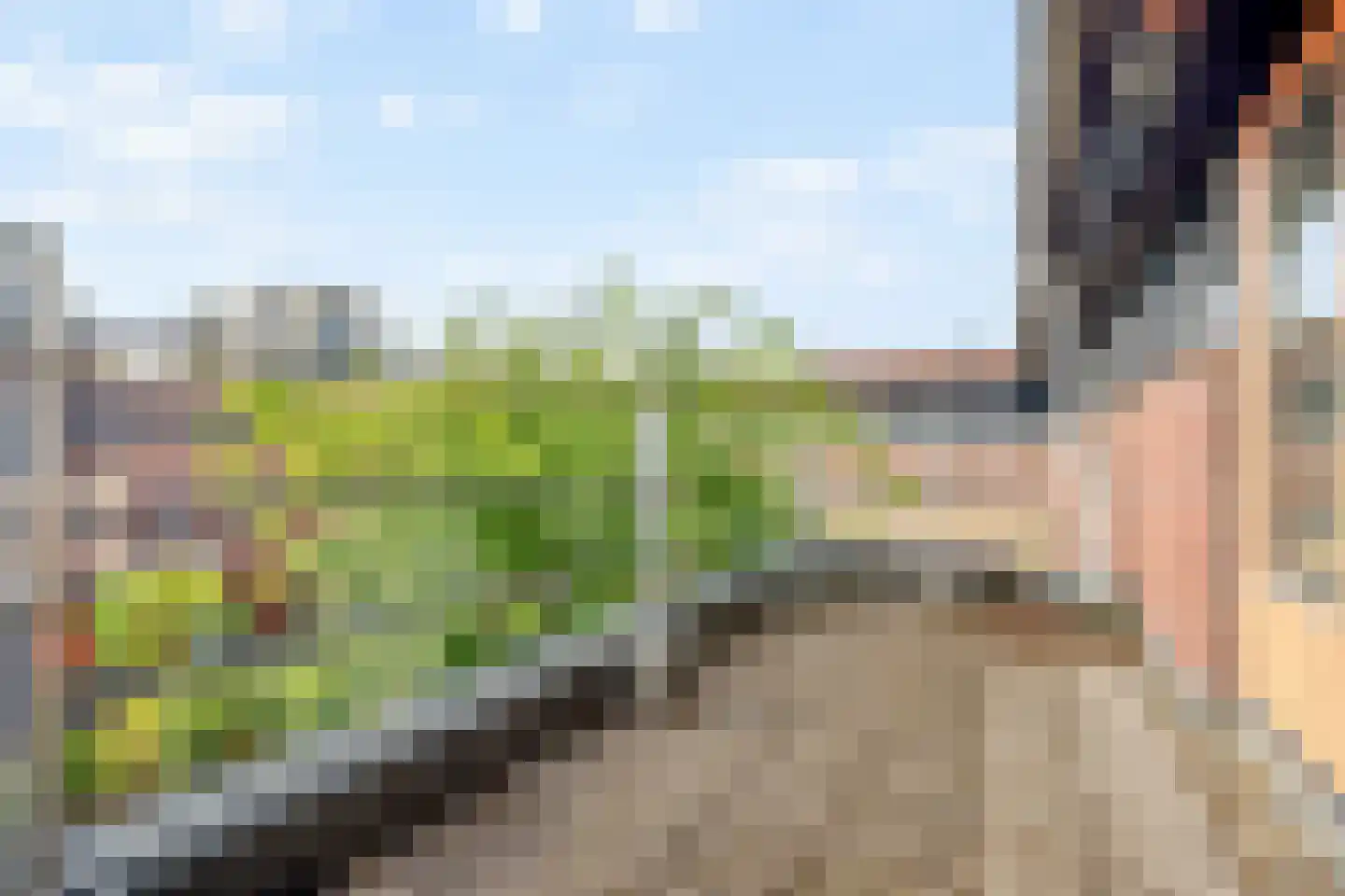 Hof van Saffier 4 Delft thumbnail 45