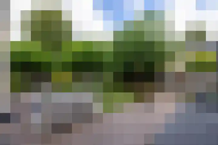 Hof van Salzburg 9 Doetinchem thumbnail 18