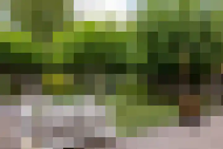Hof van Salzburg 9 Doetinchem thumbnail 19
