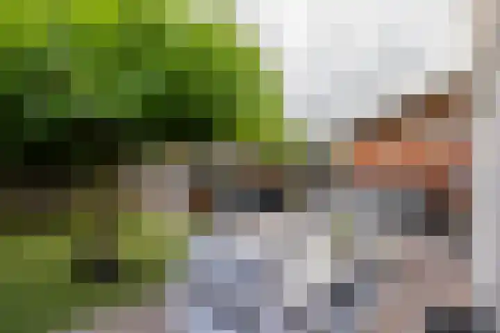 Hof van Salzburg 9 Doetinchem thumbnail 20