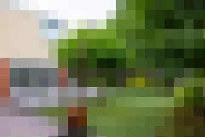 Hof van Salzburg 9 Doetinchem thumbnail 21