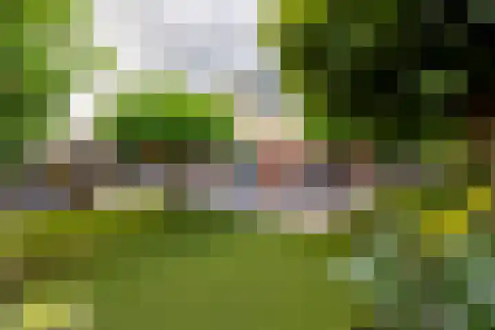 Hof van Salzburg 9 Doetinchem thumbnail 25