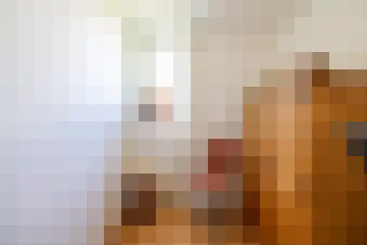 Hof van Salzburg 9 Doetinchem thumbnail 32