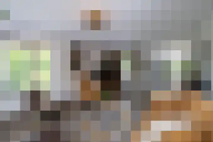 Hof van Salzburg 9 Doetinchem thumbnail 6