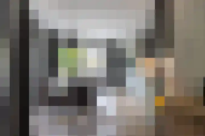 Hof van Salzburg 9 Doetinchem thumbnail 8