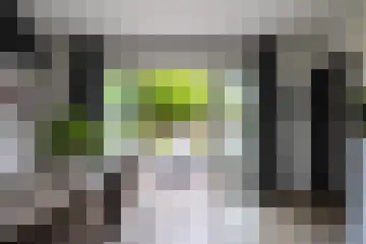 Hof van Salzburg 9 Doetinchem thumbnail 9