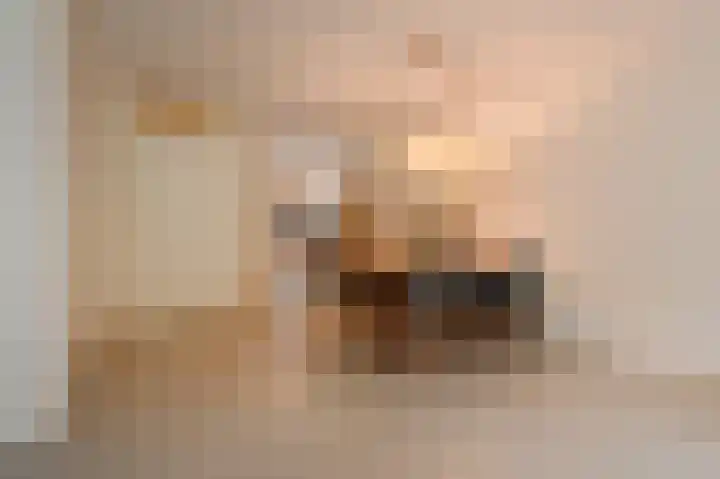 Hof van Scheveningen 20 Den Haag thumbnail 12