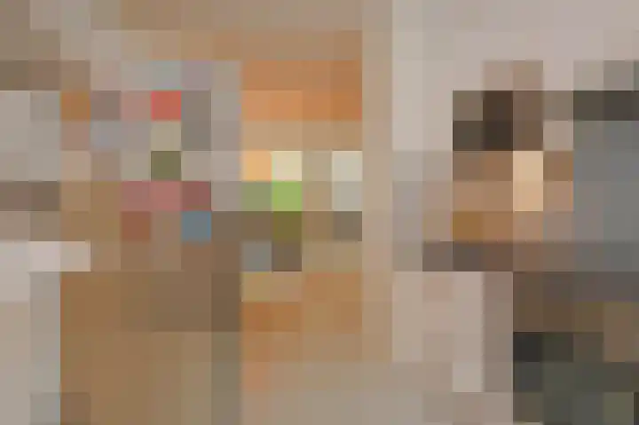 Hof van Scheveningen 20 Den Haag thumbnail 19