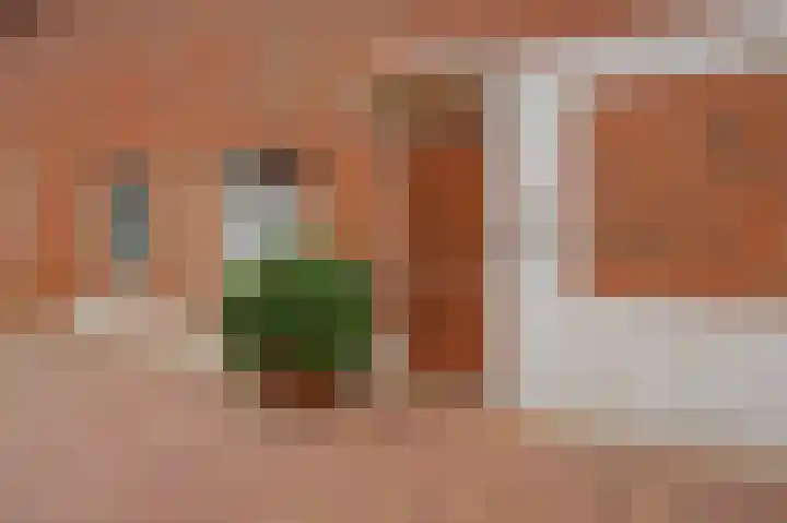 Hof van Scheveningen 20 Den Haag thumbnail 37