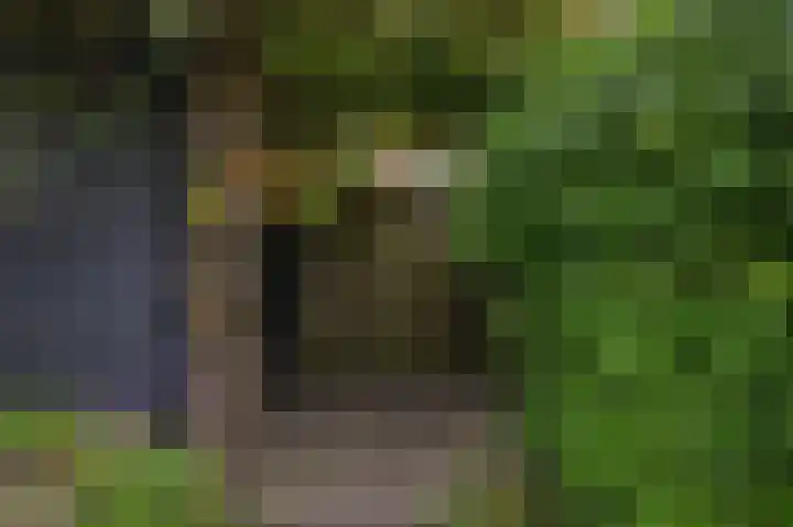 Hof van Scheveningen 20 Den Haag thumbnail 9