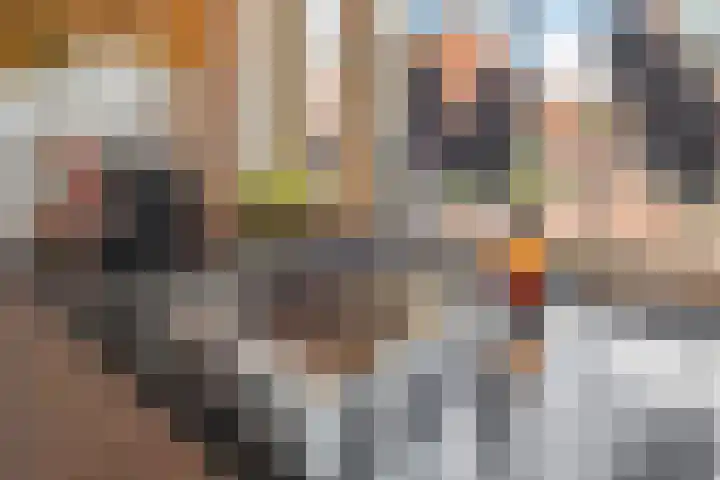 Hof van Scheveningen 3 Den Haag thumbnail 20