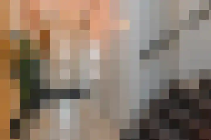 Hof van Scheveningen 3 Den Haag thumbnail 23