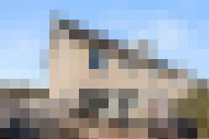 Hof van Sint Pieter 2 Bennekom thumbnail 12