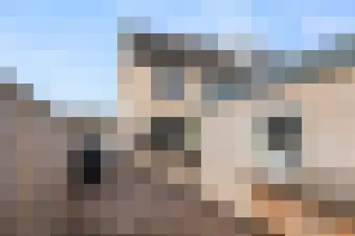 Hof van Sint Pieter 2 Bennekom thumbnail 13
