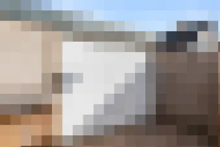 Hof van Sint Pieter 2 Bennekom thumbnail 14