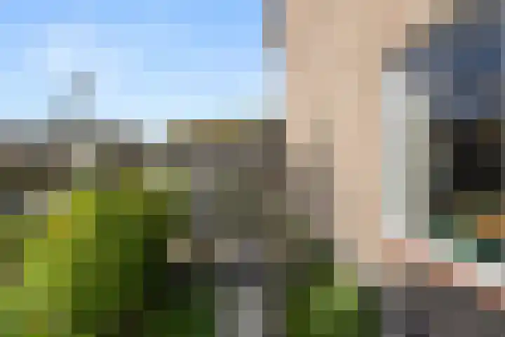 Hof van Sint Pieter 2 Bennekom thumbnail 15