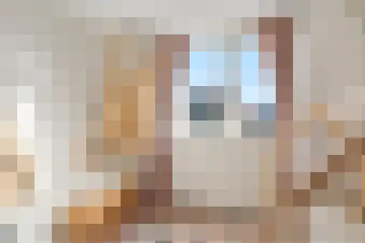 Hof van Sint Pieter 2 Bennekom thumbnail 33