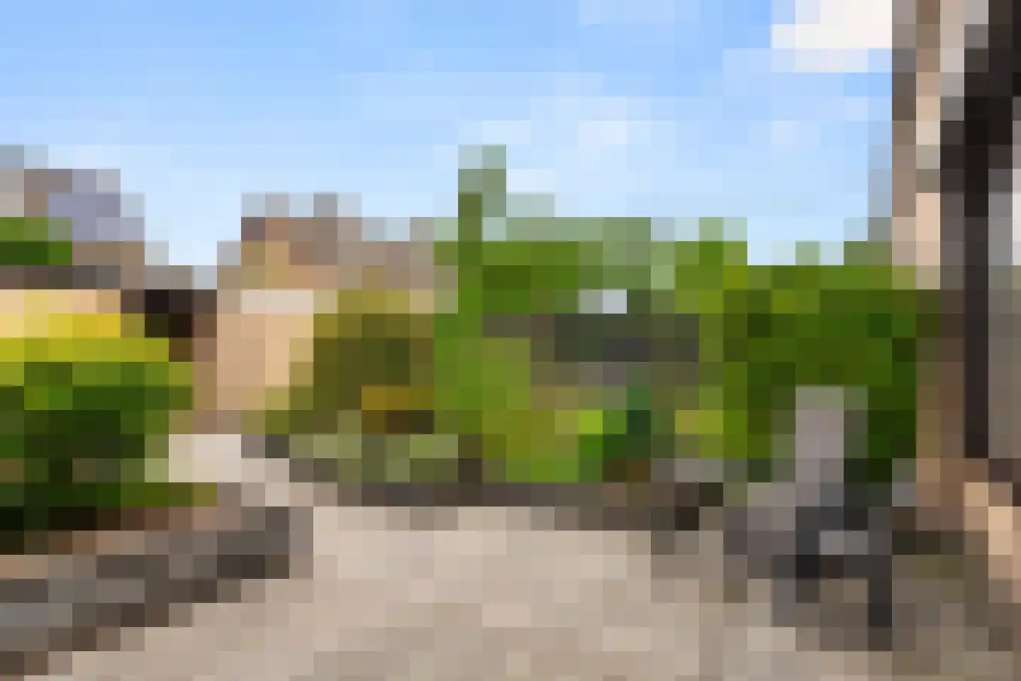 Hof van Sint Pieter 36 Bennekom thumbnail 12