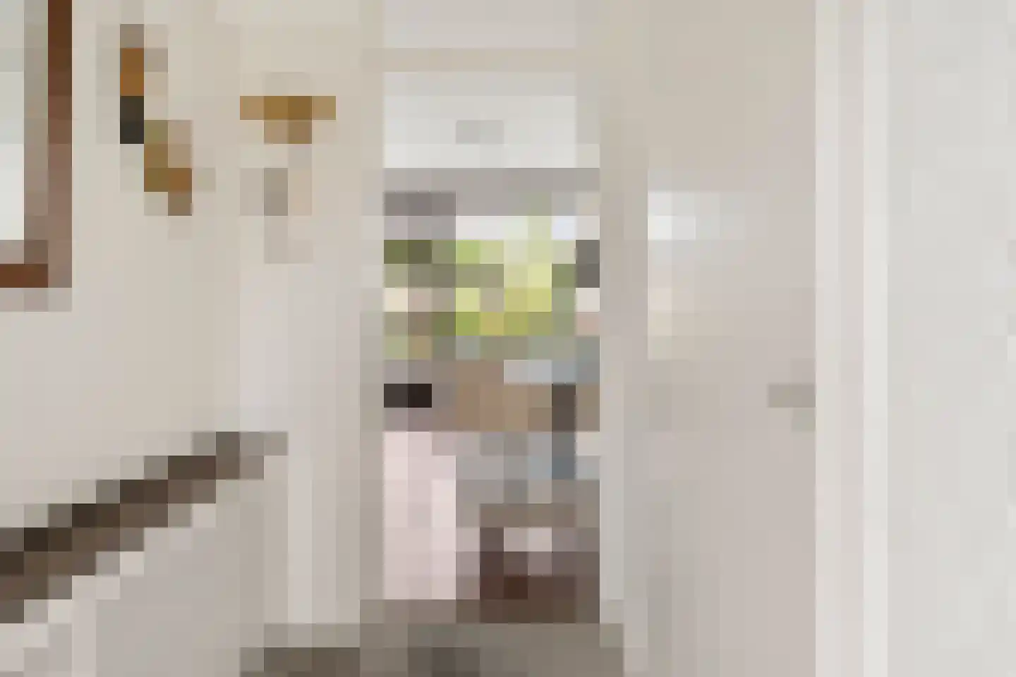 Hof van Sint Pieter 36 Bennekom thumbnail 17