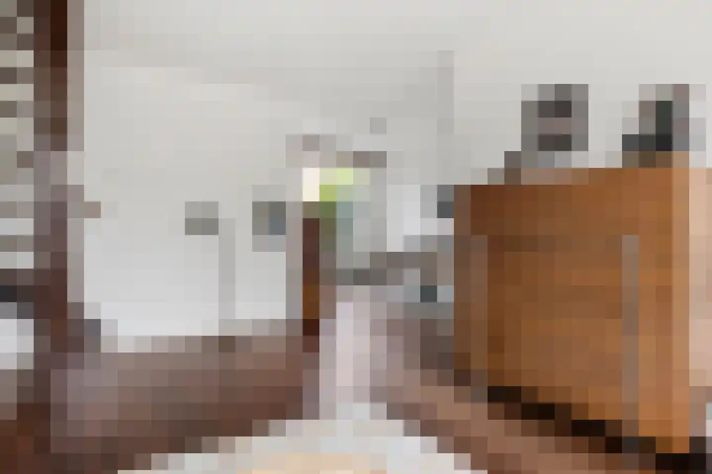 Hof van Sint Pieter 36 Bennekom thumbnail 21