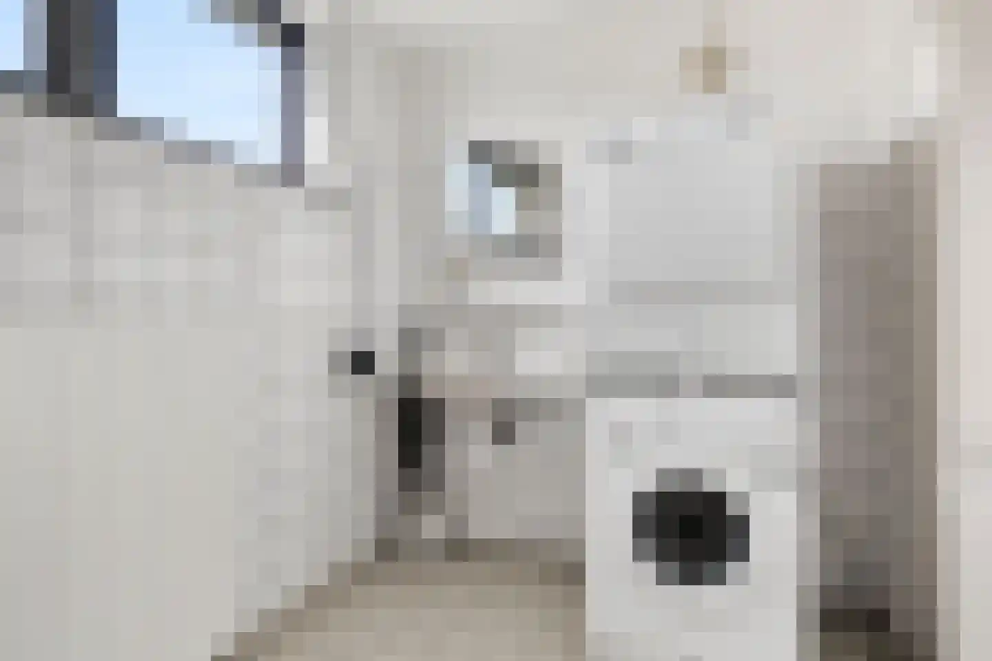 Hof van Sint Pieter 36 Bennekom thumbnail 37