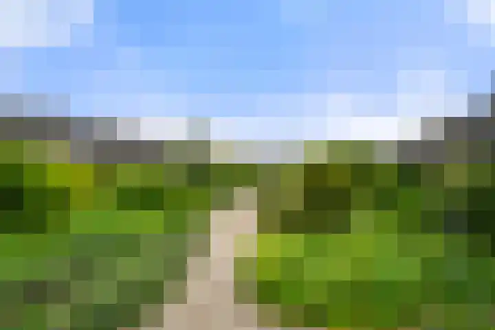 Hof van Sint Pieter 47 Bennekom thumbnail 10