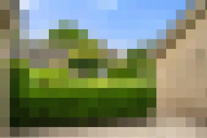 Hof van Sint Pieter 47 Bennekom thumbnail 11