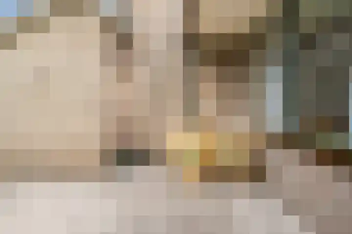 Hof van Sint Pieter 47 Bennekom thumbnail 13