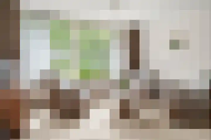 Hof van Sint Pieter 47 Bennekom thumbnail 16