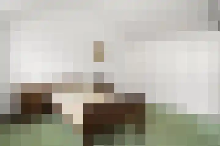 Hof van Sint Pieter 47 Bennekom thumbnail 31