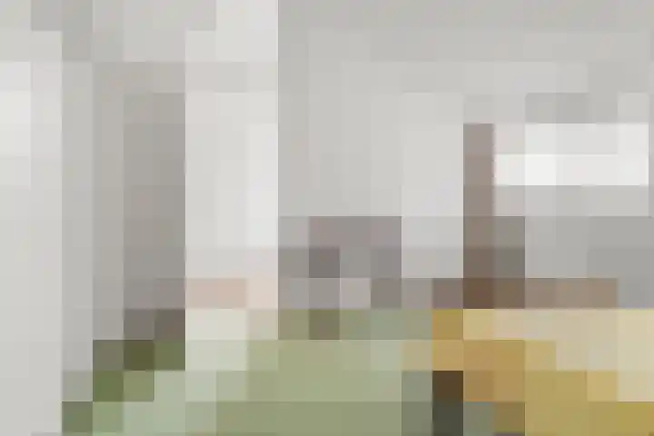 Hof van Sint Pieter 47 Bennekom thumbnail 33