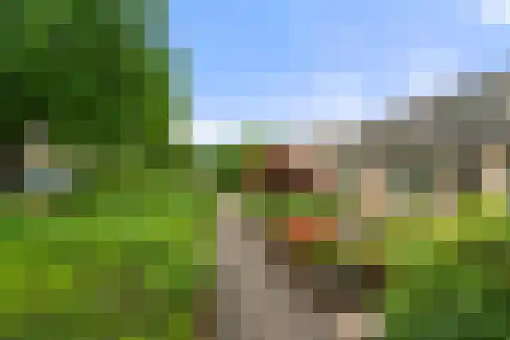 Hof van Sint Pieter 47 Bennekom thumbnail 4