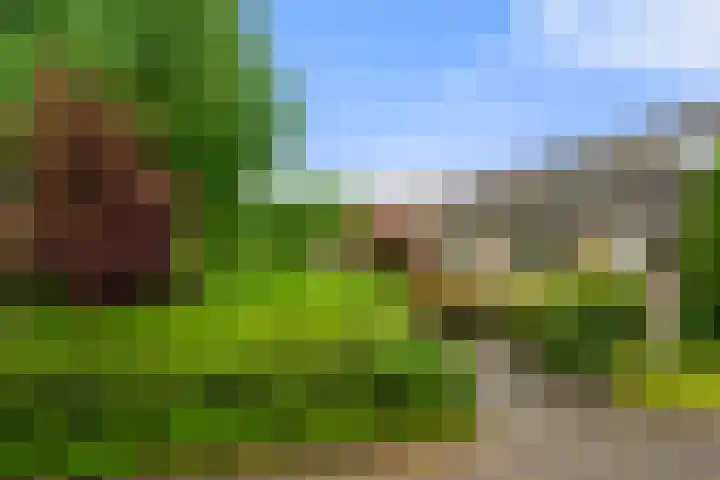Hof van Sint Pieter 47 Bennekom thumbnail 5