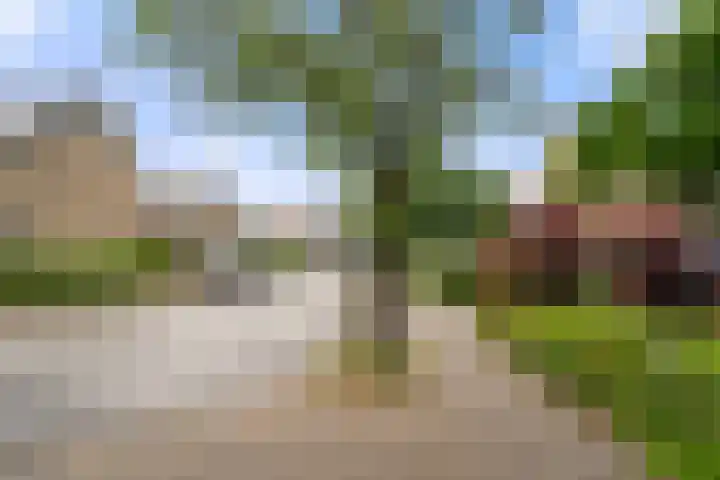Hof van Sint Pieter 47 Bennekom thumbnail 6