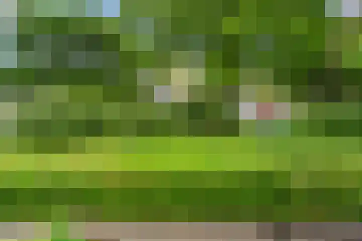 Hof van Sint Pieter 47 Bennekom thumbnail 7