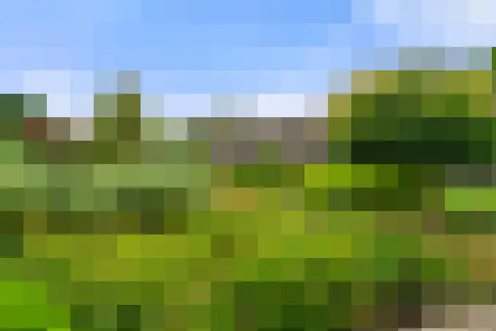 Hof van Sint Pieter 47 Bennekom thumbnail 8