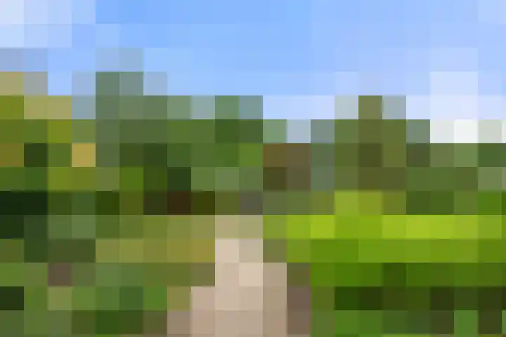Hof van Sint Pieter 47 Bennekom thumbnail 9