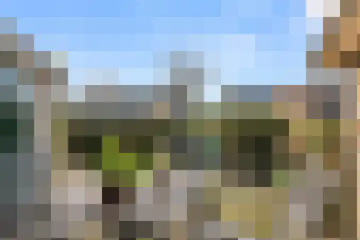Hof van Sint Pieter 59 Bennekom thumbnail 13