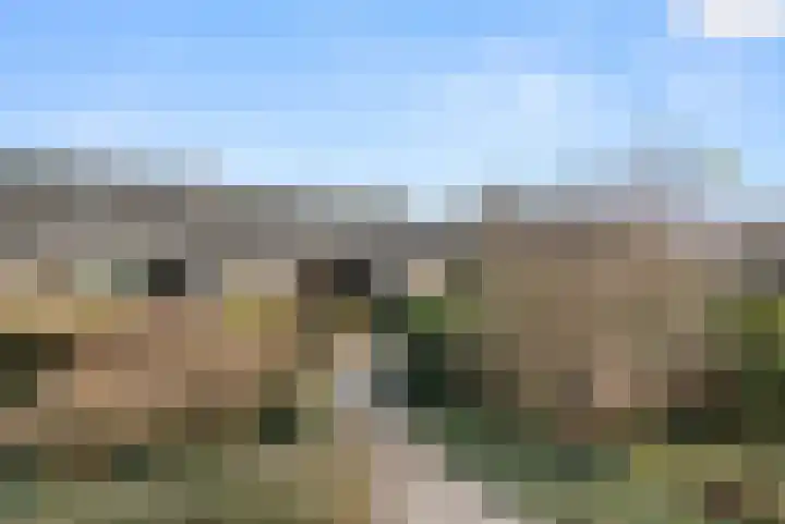 Hof van Sint Pieter 59 Bennekom thumbnail 7