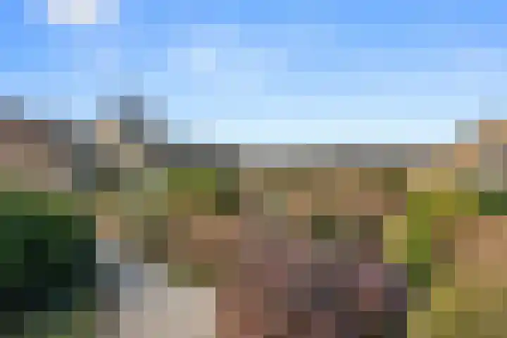 Hof van Sint Pieter 59 Bennekom thumbnail 8