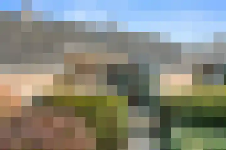 Hof van Sint Pieter 59 Bennekom thumbnail 9