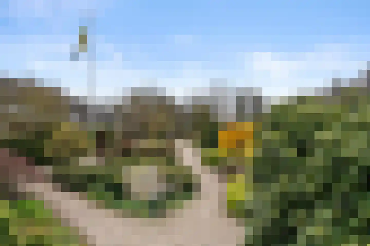 Hof van Sint Pieter 61 Bennekom thumbnail 12