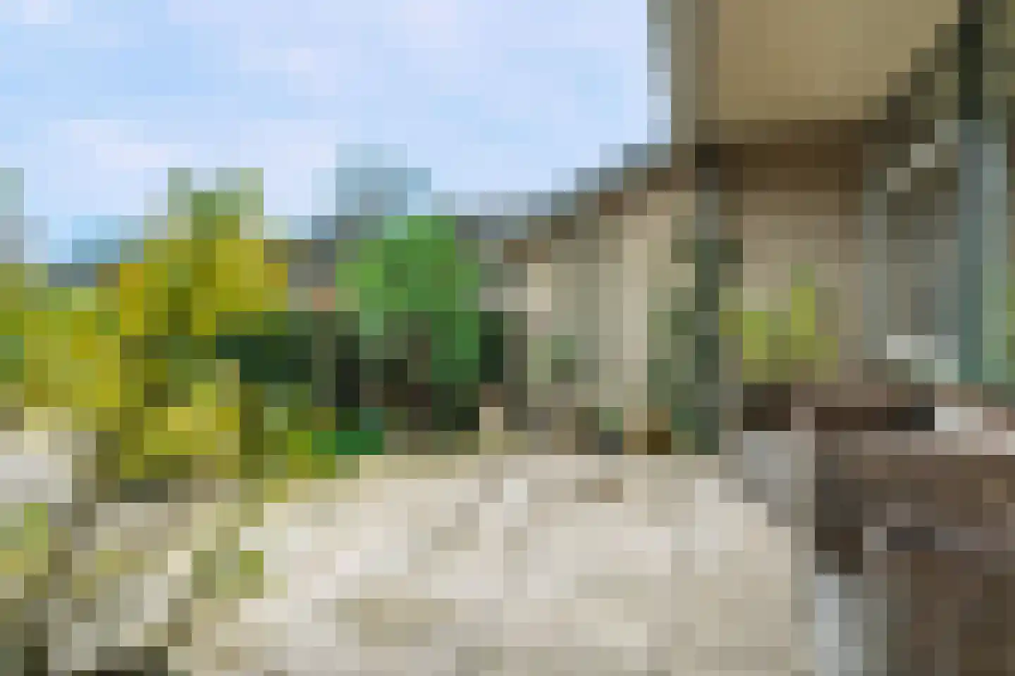 Hof van Sint Pieter 79 Bennekom thumbnail 20