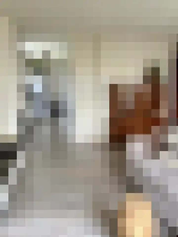 Hof van Spiegeling 1 Delft thumbnail 7