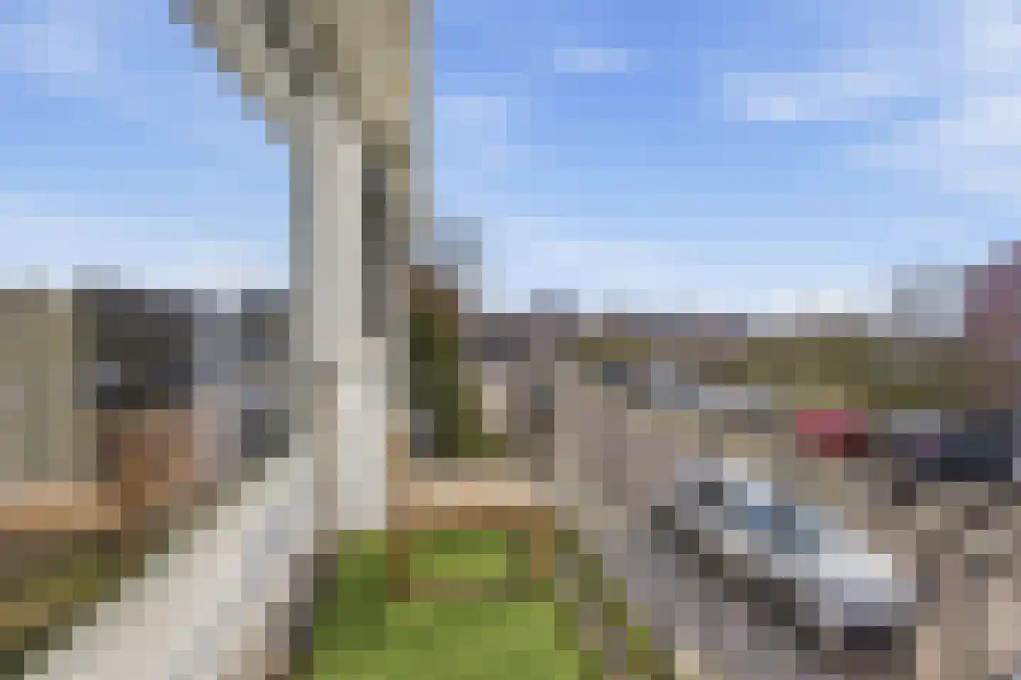 Hof van Spinoet 15 Raamsdonksveer thumbnail 33