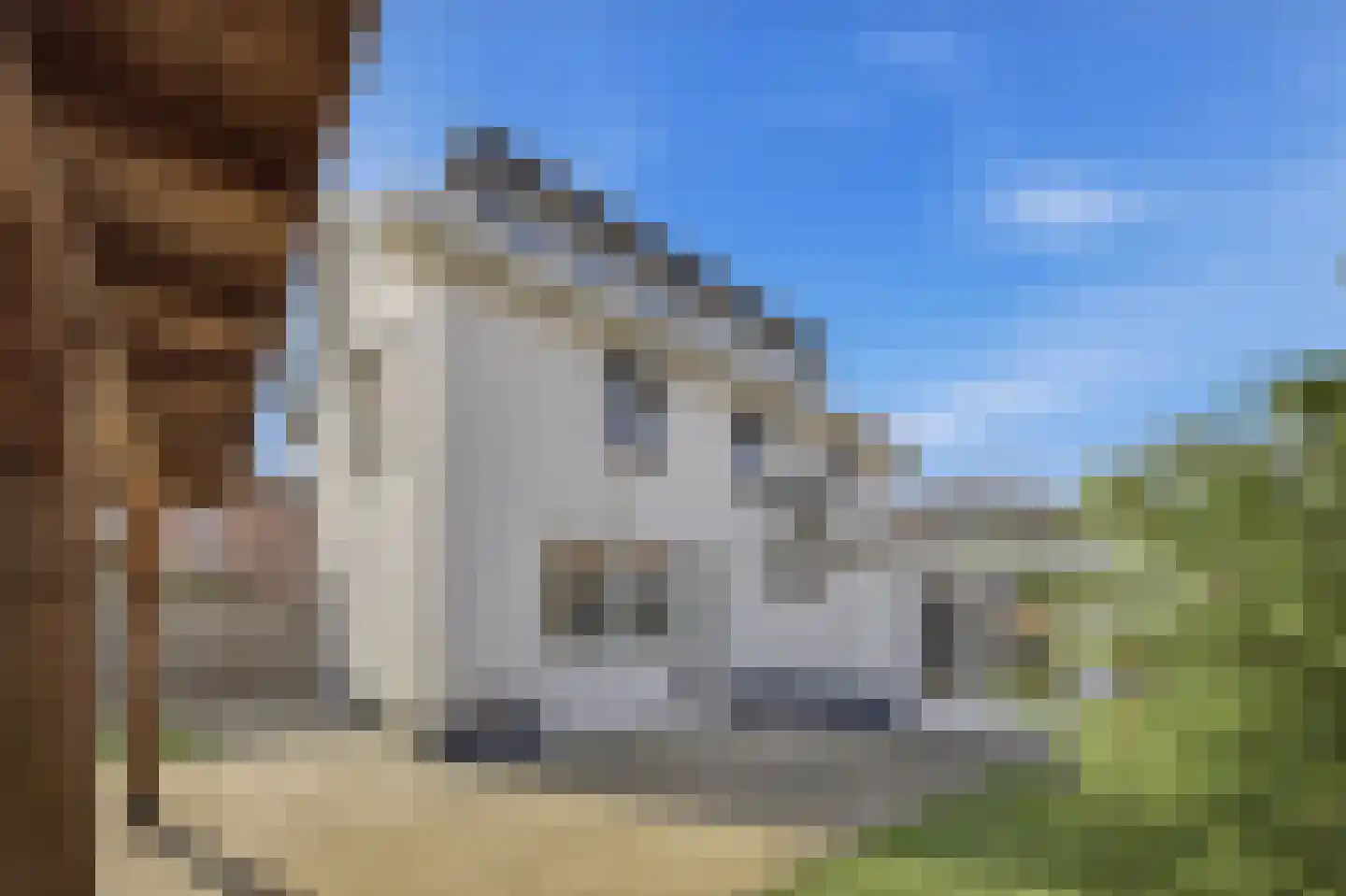 Hof van Spinoet 15 Raamsdonksveer thumbnail 42